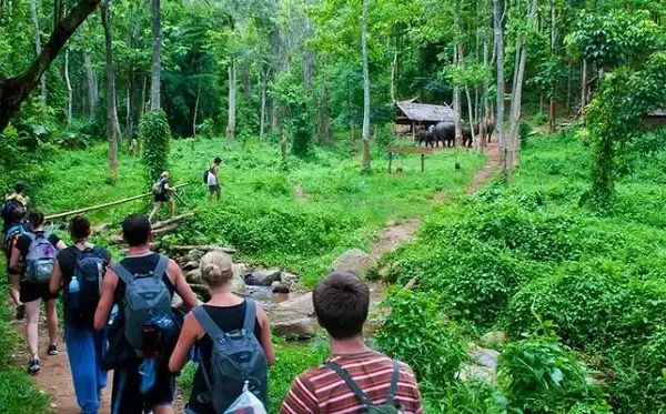 Hoa Lu/Bai Dinh - Trang An - Mua Cave - Cuc Phuong National Park Tour | 2D1N