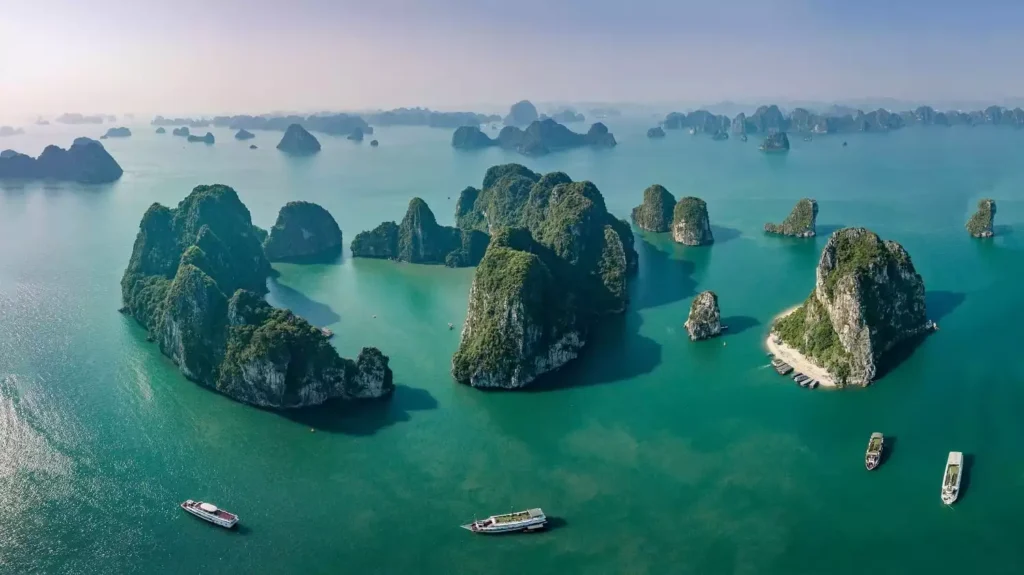 Wonder Bay Cruise Halong Bay Full-Day Tour
