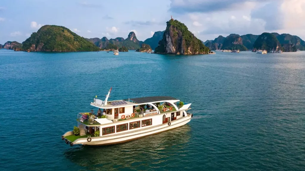 Wonder Bay Cruise Halong Bay Full-Day Tour