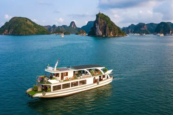 Wonder Bay Cruise Halong Bay Full-Day Tour