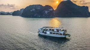 Wonder Bay Cruise Halong Bay Full-Day Tour