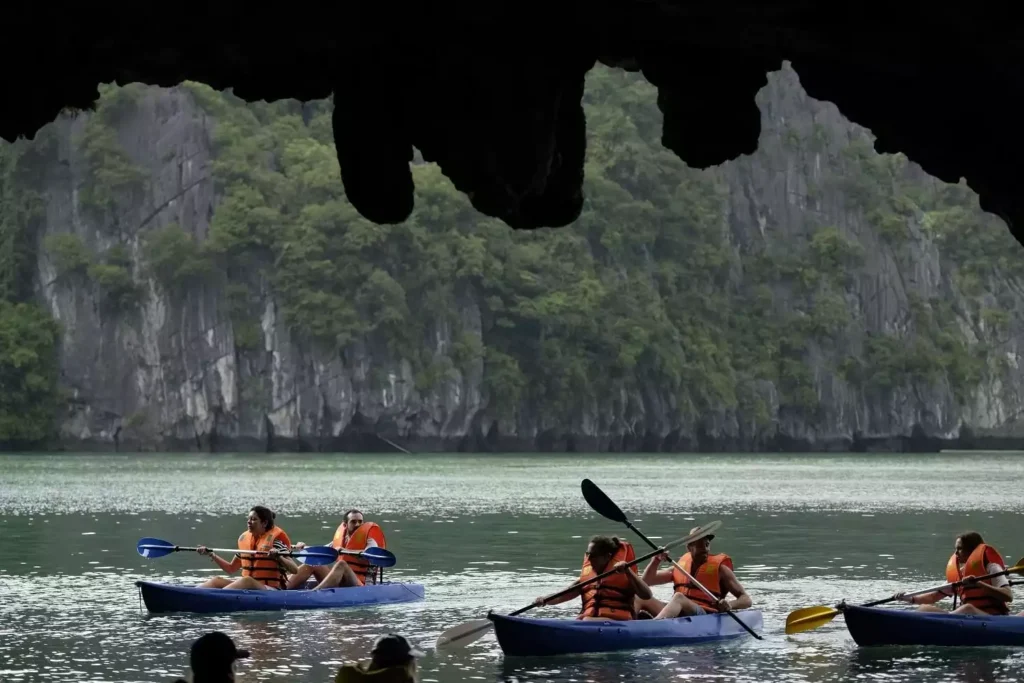 Wonder Bay Cruise Halong Bay Full-Day Tour