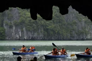 Wonder Bay Cruise Halong Bay Full-Day Tour