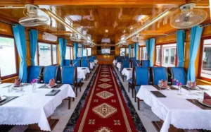 Wonder Bay Cruise Halong Bay Full-Day Tour