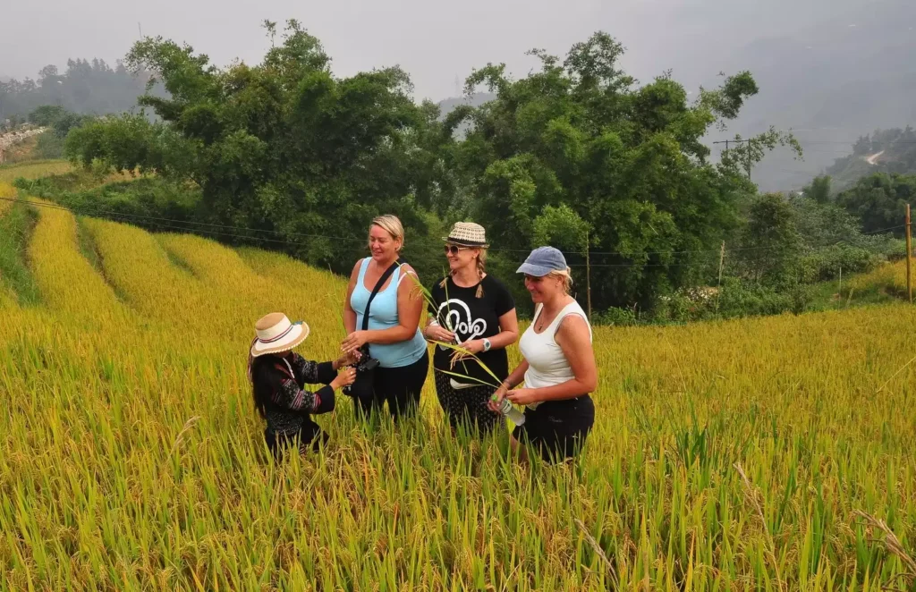 Hanoi - Sapa - Bac Ha Market Tour