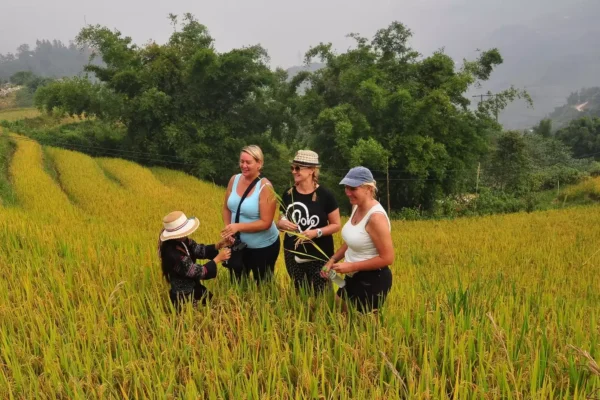 Hanoi - Sapa 2 Days 1 Night Trekking Tour