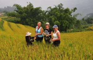 Hanoi - Sapa - Bac Ha Market Tour