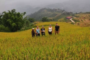 Hanoi - Sapa 3 Days 2 Night Tour