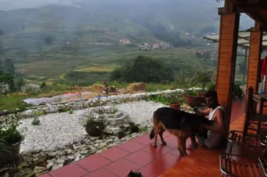 Hanoi - Sapa 3 Days 2 Nights Trekking Tour