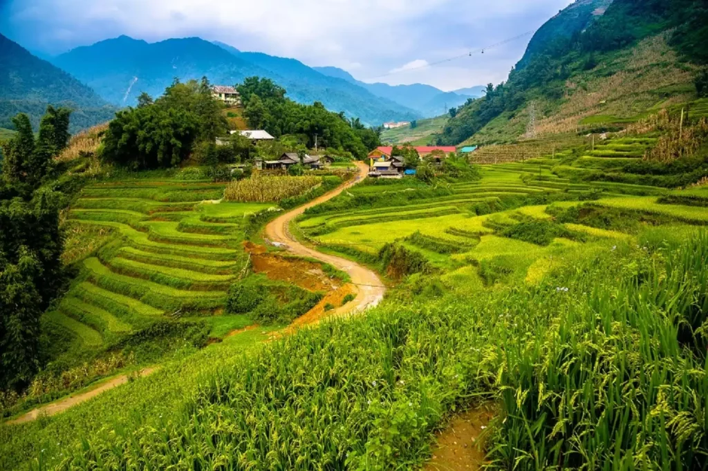 Hanoi - Sapa - Bac Ha Market Tour