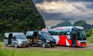 Halong Bay/Cat Ba island to Ninh Binh limousine