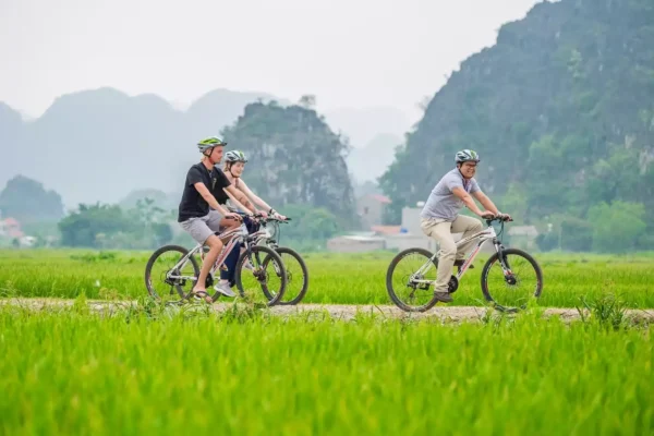 Hoa Lu/Bai Dinh - Trang An - Mua Cave - Tam Coc - Cycling Tour | 2D1N
