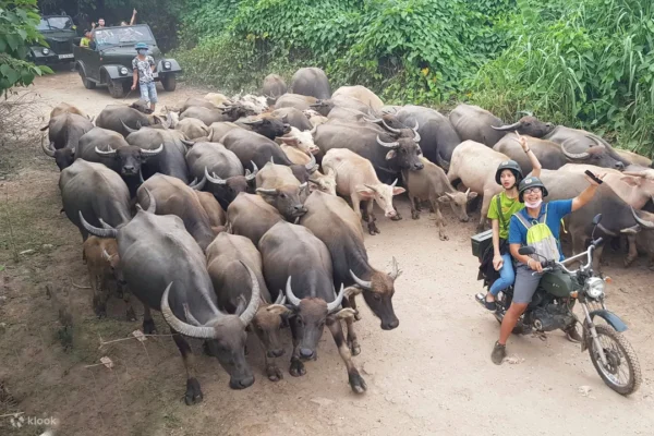Hanoi Outskirts & Bat Trang Ceramic Village By Motorbike - HBT5
