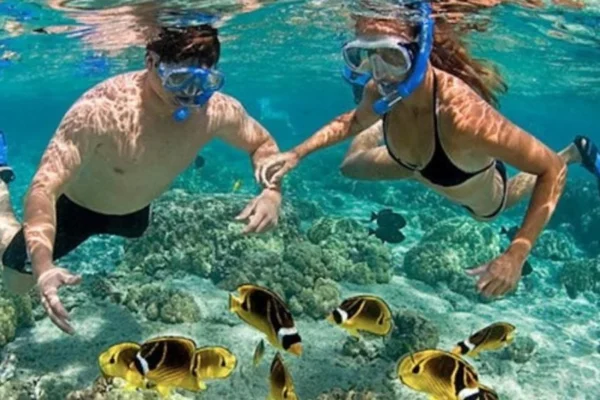 Snorkeling Tour in Nha Trang