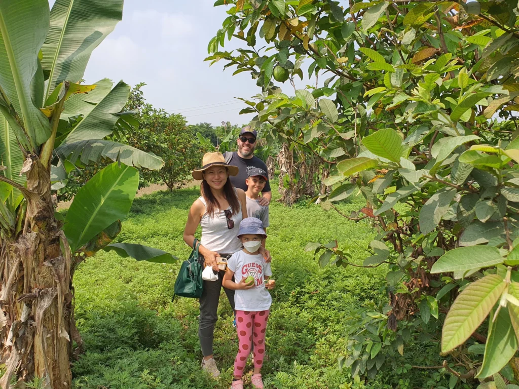 rural hanoi vintage motorbike tour