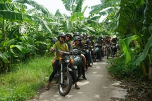 rural hanoi vintage motorbike tour