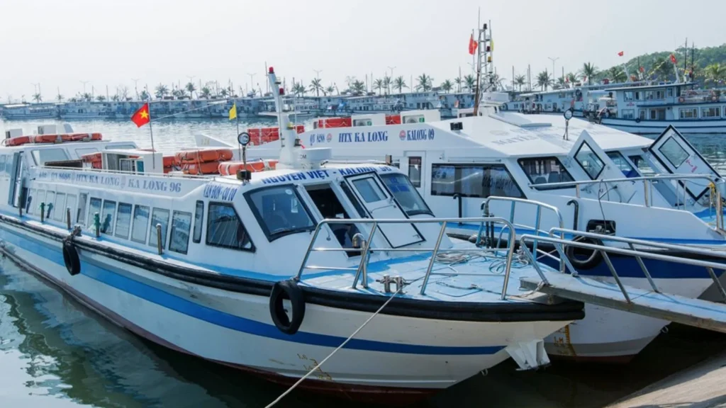 Cat Ba island speedboat