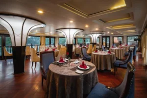 Alisa Premier Cruise