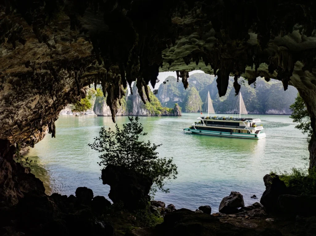 Amethyst Cruise