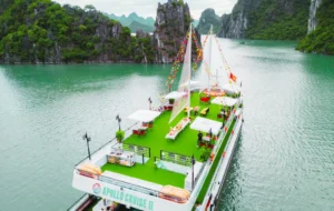 Apollo Premium Cruise
