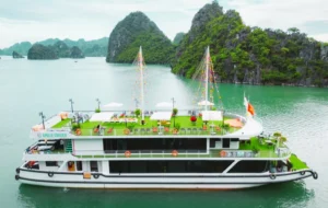 Apollo Premium Cruise