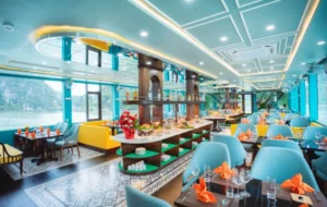 Apollo Premium Cruise