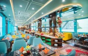Apollo Premium Cruise