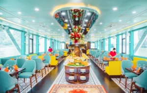 Apollo Premium Cruise
