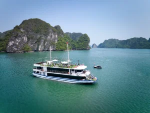 Arcady Premium Cruise
