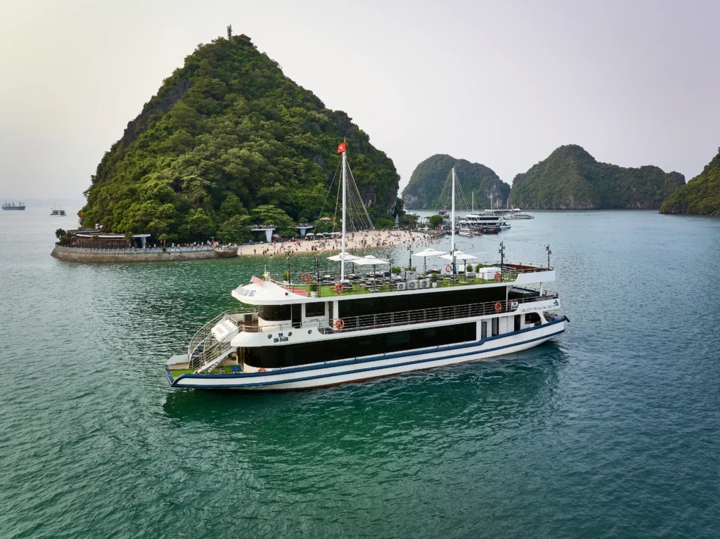 Arcady Premium Cruise
