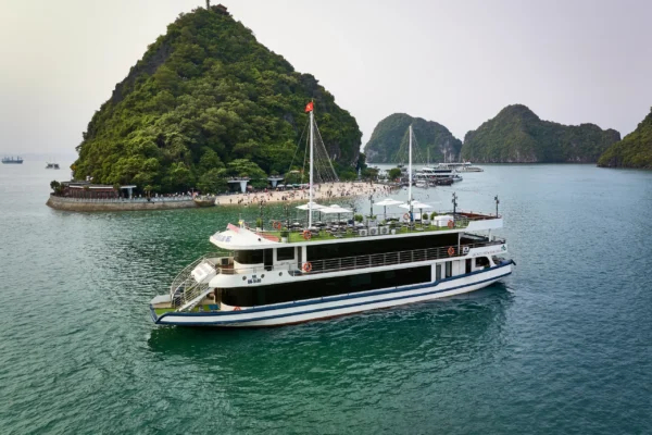 Arcady Premium Cruise