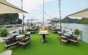 Arcady Premium Cruise