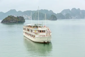 Calypso Cruise