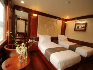 Calypso Cruise