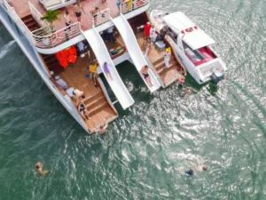 Catamaran Cruise