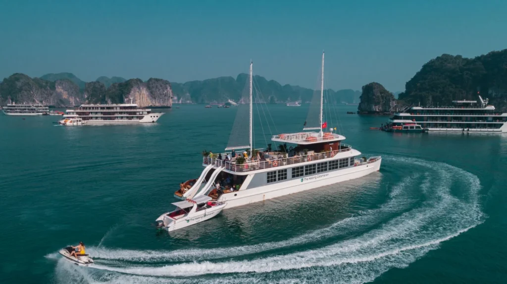 Catamaran Cruise