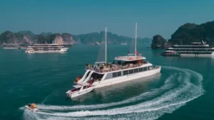 Catamaran Cruise