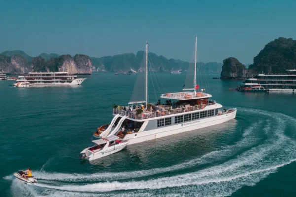 Catamaran Cruise