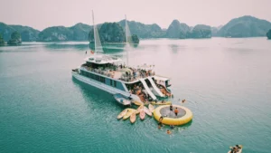 Catamaran Cruise