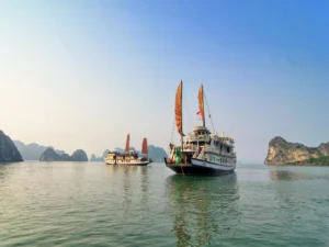 Dragon Pearl Junks Cruise