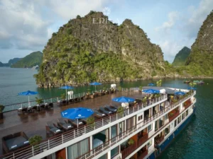 Erina Cruise