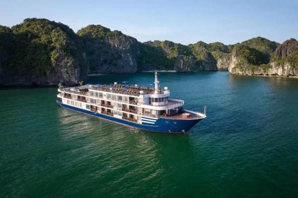 Erina Cruise