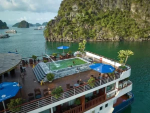 Erina Cruise