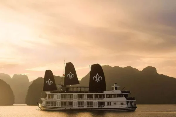 Lily Cruise