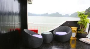 Oasis Bay Party Cruise