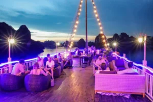 Oasis Bay Party Cruise