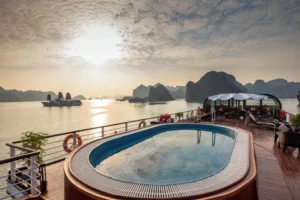 Orchid Premium Cruise