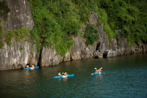 Orchid Premium Cruise