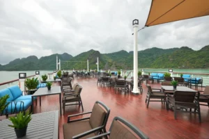 Paradise Grand Cruise