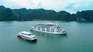 Paradise Grand Cruise